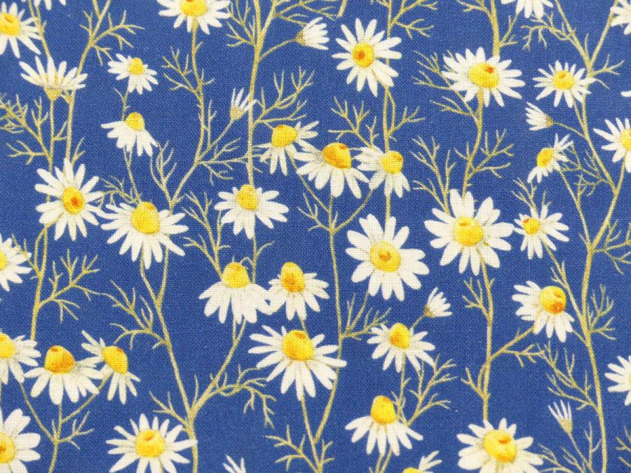 Hedgehog Hollow Blumen Gänseblümchen Daisies blau von In the Beginning